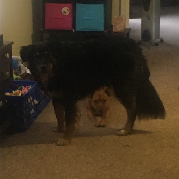 Meet your Posher, Stephanie - Picture 8 of 17